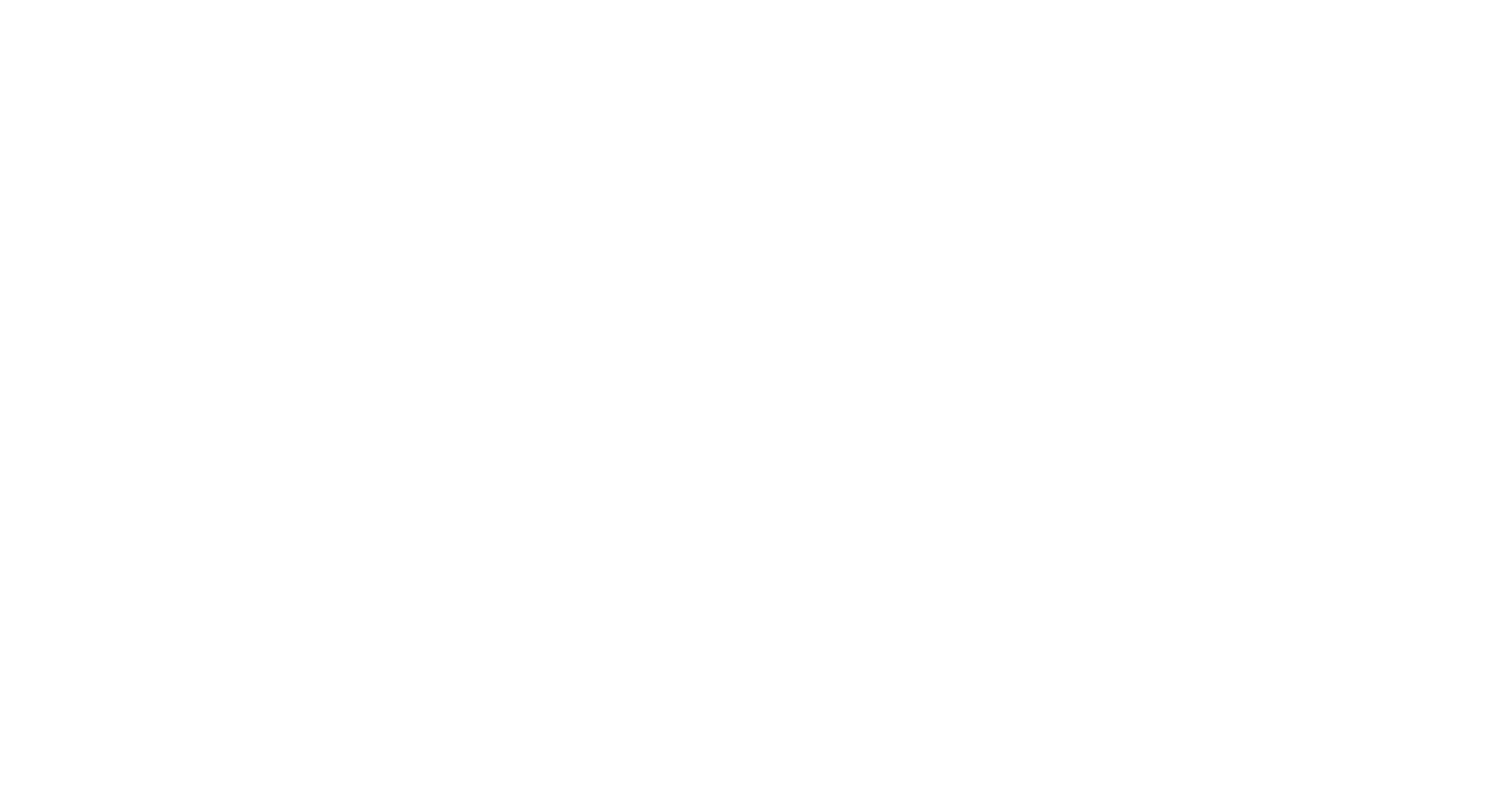 NTS logo white png